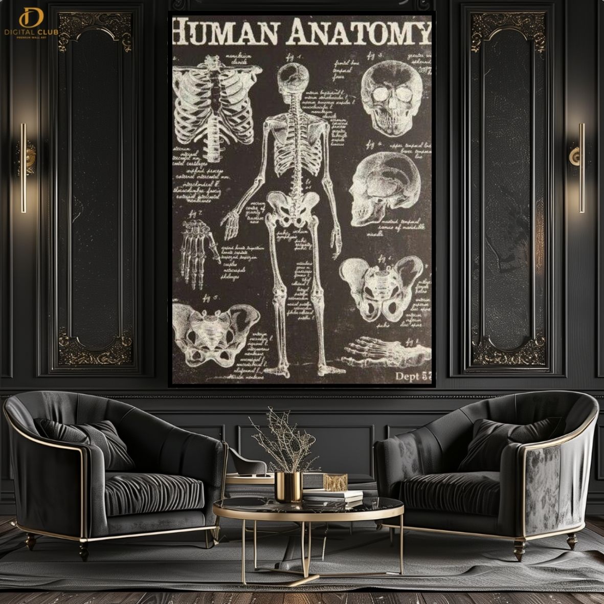 Human Anatomy- Office Premium Wall Art - Art Digital Club