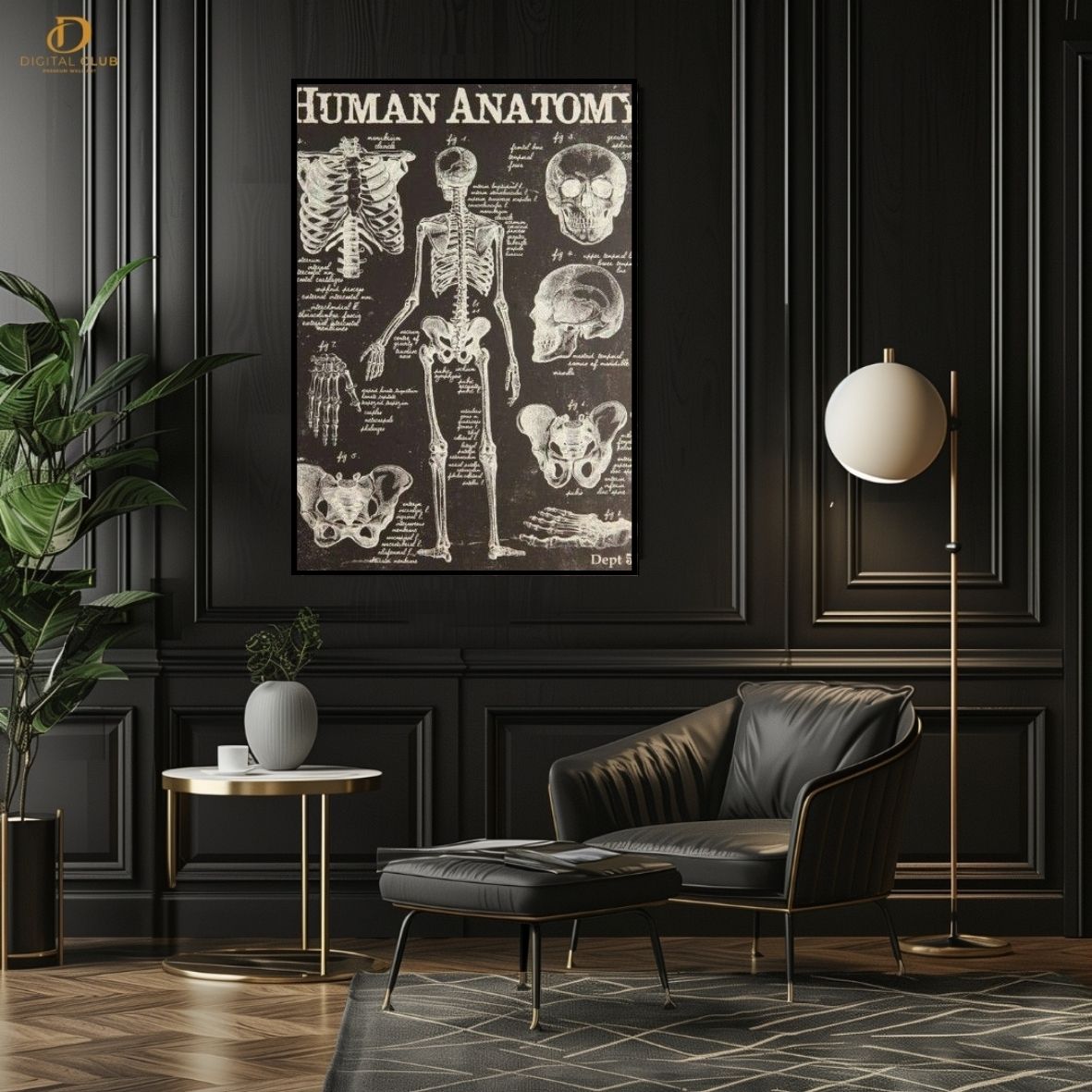 Human Anatomy- Office Premium Wall Art - Art Digital Club