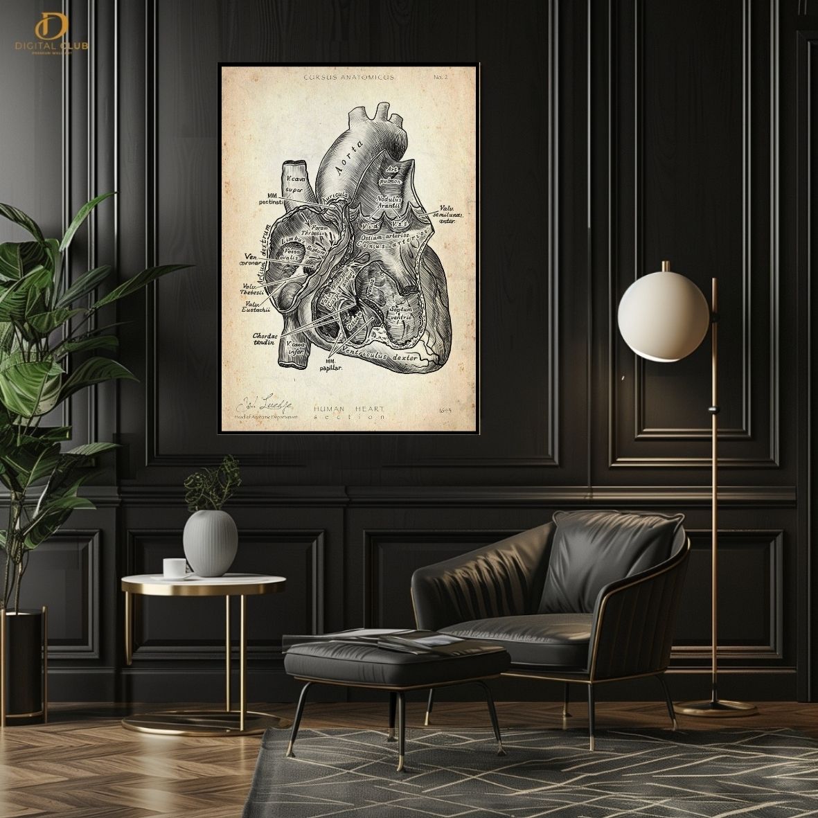 Heart Anatomy- Office-Premium Wall Art - Art Digital Club