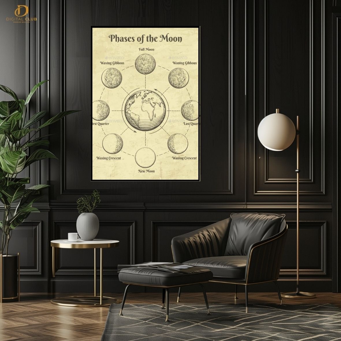 Phases Of Moon - Sketch- Premium Wall Art