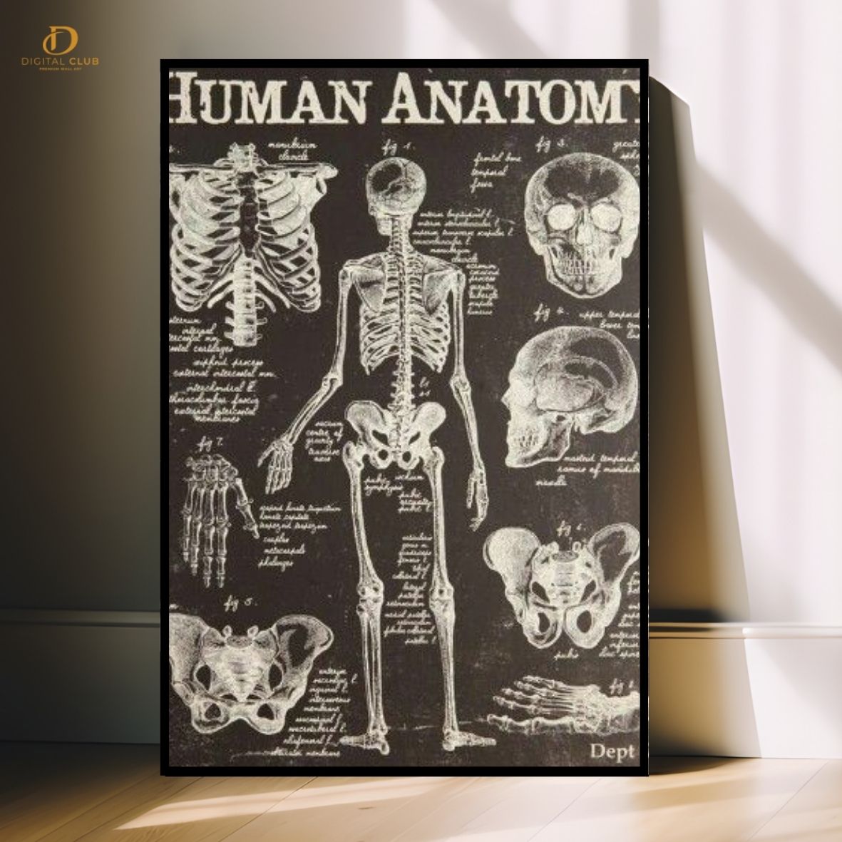 Human Anatomy- Office Premium Wall Art - Art Digital Club