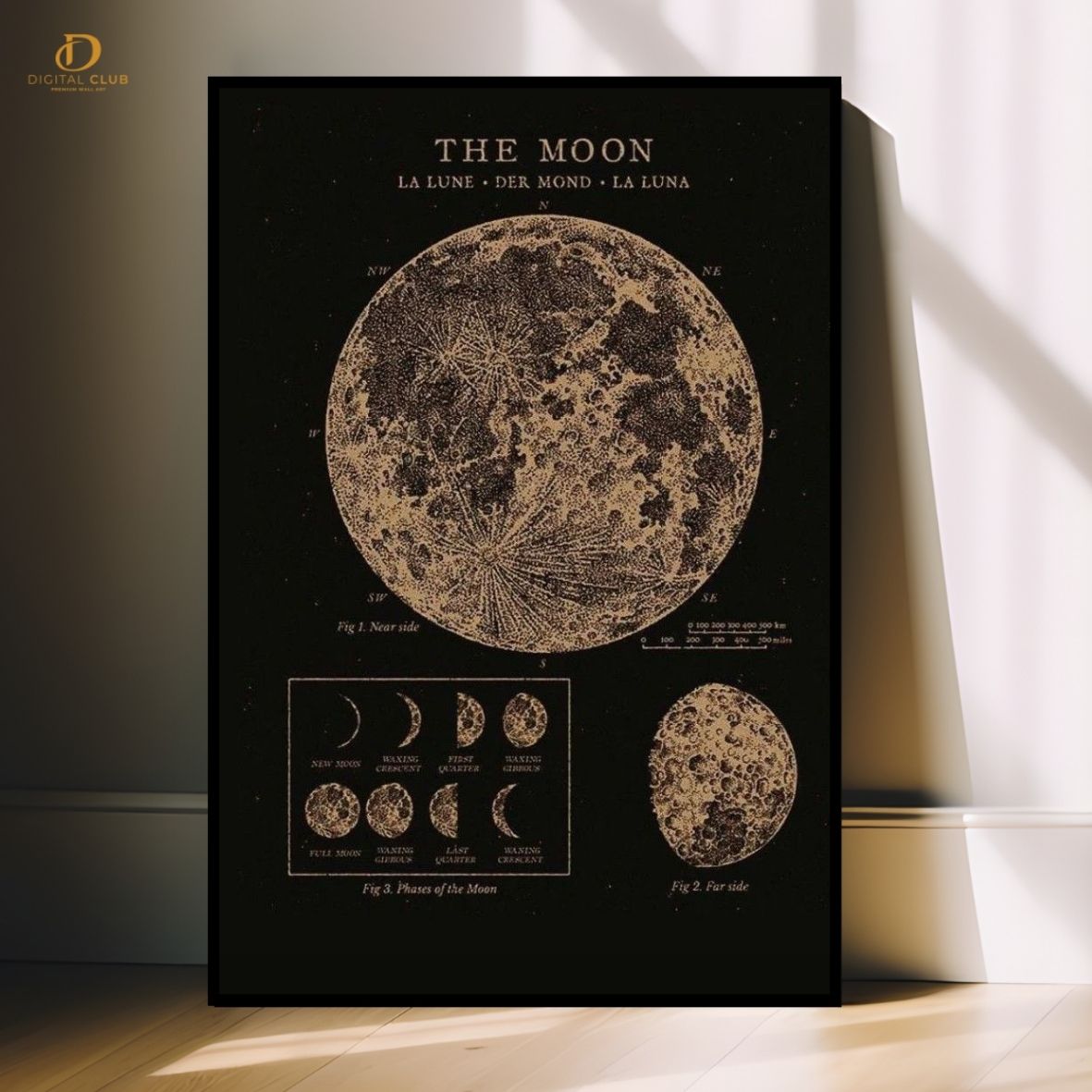 The Moon Phases - Office- Premium Wall Art