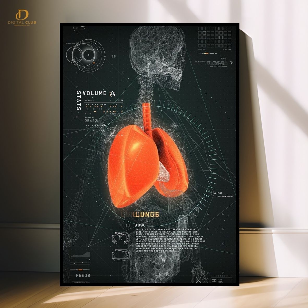 Human Skeleton Artwork -Office- Premium Wall Art