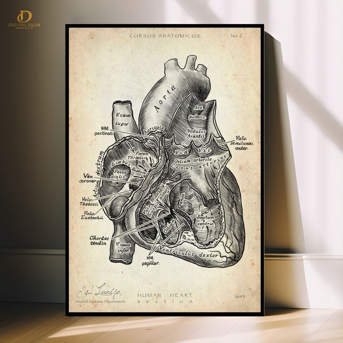 Heart Anatomy- Office-Premium Wall Art - Art Digital Club