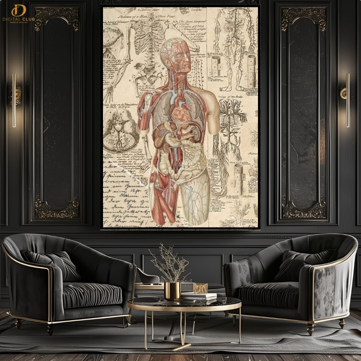 Human Anatomy - Doctor - Premium Wall Art