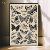 Butterfly Sketch- Chart - Premium Wall Art - Art Digital Club