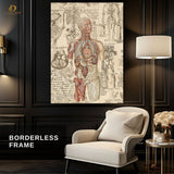 Human Anatomy - Doctor - Premium Wall Art