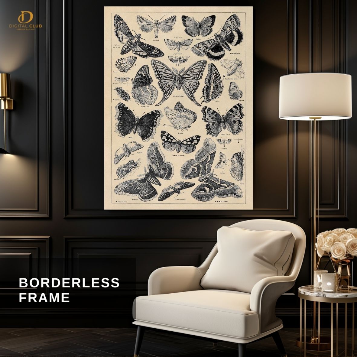 Butterfly Sketch- Chart - Premium Wall Art - Art Digital Club